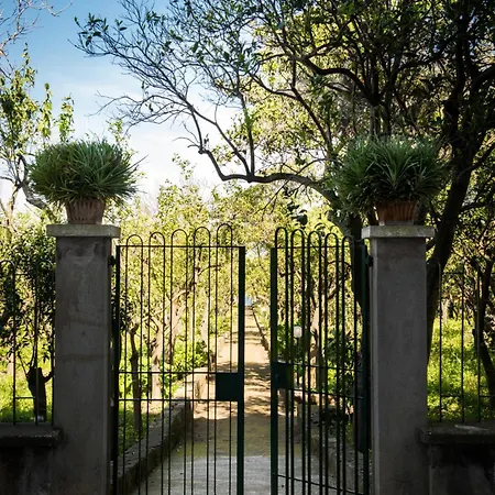 Tozzoli 'top' Floor *