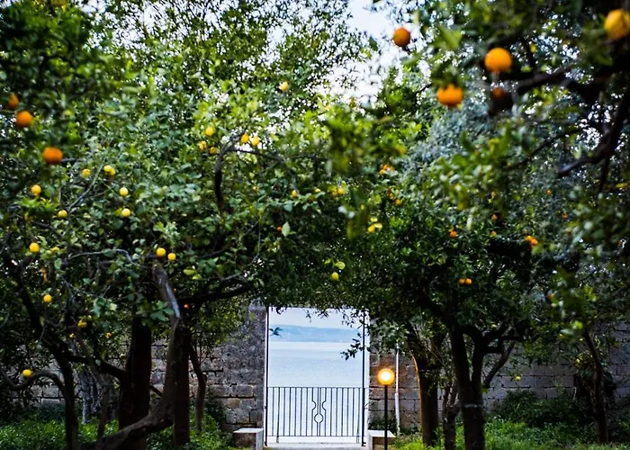 Apartamento Tozzoli 'top' Floor Península Sorrentina