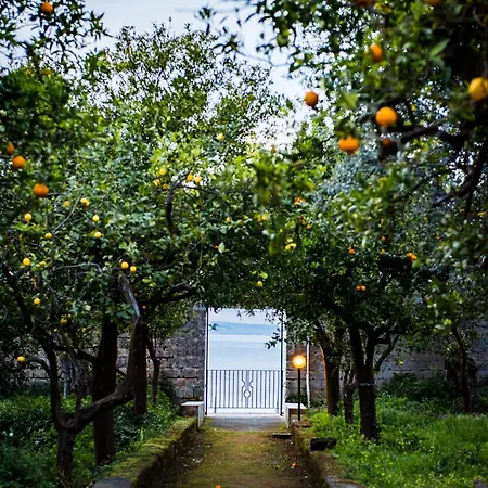 Apartment Tozzoli 'top' Floor Sorrento